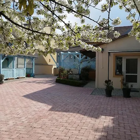 Anna Vendeghaz Appartement